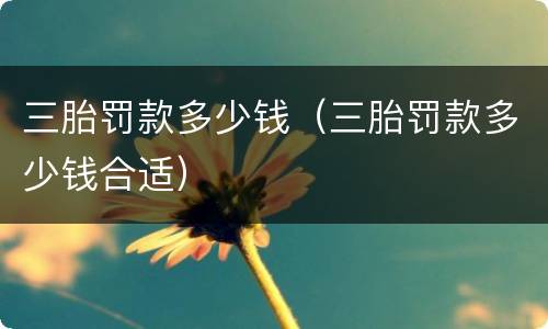 三胎罚款多少钱（三胎罚款多少钱合适）