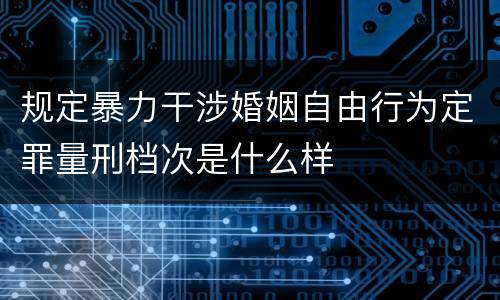 规定暴力干涉婚姻自由行为定罪量刑档次是什么样