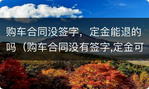 购车合同没签字，定金能退的吗（购车合同没有签字,定金可以退吗）