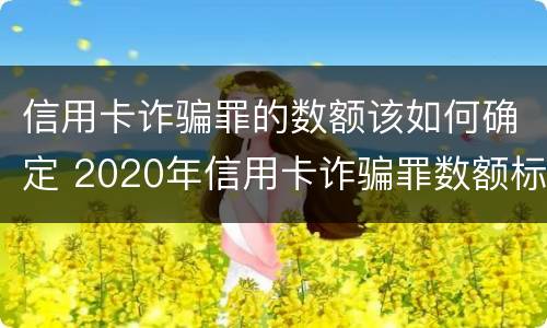 信用卡诈骗罪的数额该如何确定 2020年信用卡诈骗罪数额标准