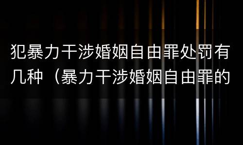 犯暴力干涉婚姻自由罪处罚有几种（暴力干涉婚姻自由罪的结果加重犯）
