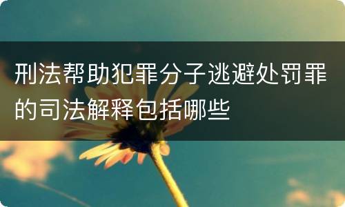 刑法帮助犯罪分子逃避处罚罪的司法解释包括哪些