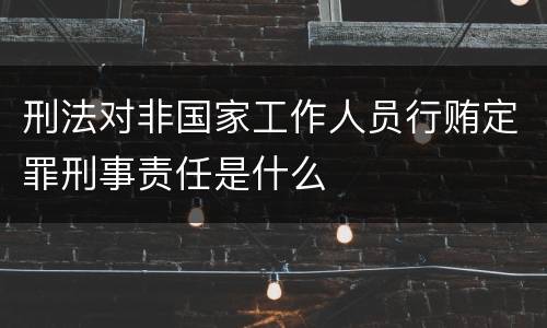 刑法对非国家工作人员行贿定罪刑事责任是什么
