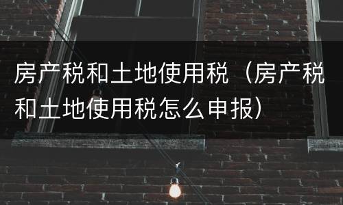 房产税和土地使用税（房产税和土地使用税怎么申报）