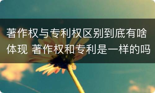 著作权与专利权区别到底有啥体现 著作权和专利是一样的吗