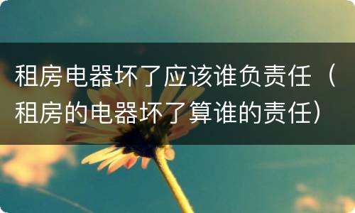 租房电器坏了应该谁负责任（租房的电器坏了算谁的责任）