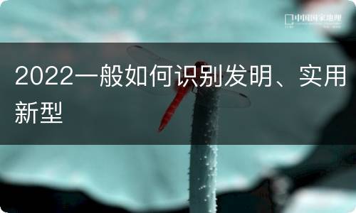 2022一般如何识别发明、实用新型