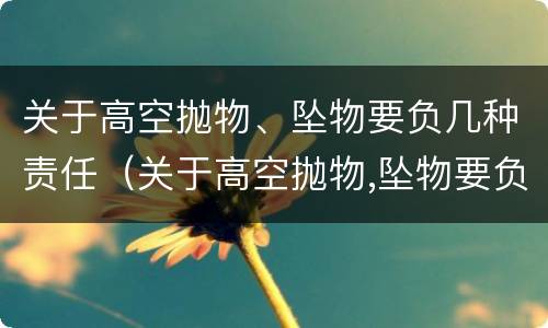 关于高空抛物、坠物要负几种责任（关于高空抛物,坠物要负几种责任赔偿）