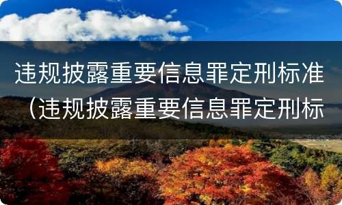 违规披露重要信息罪定刑标准（违规披露重要信息罪定刑标准是什么）