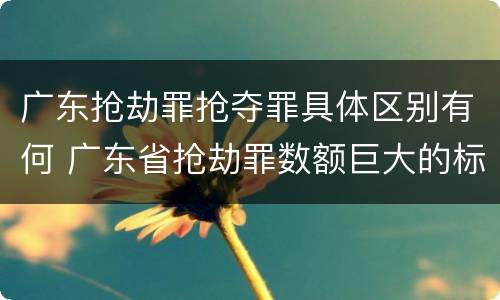 广东抢劫罪抢夺罪具体区别有何 广东省抢劫罪数额巨大的标准