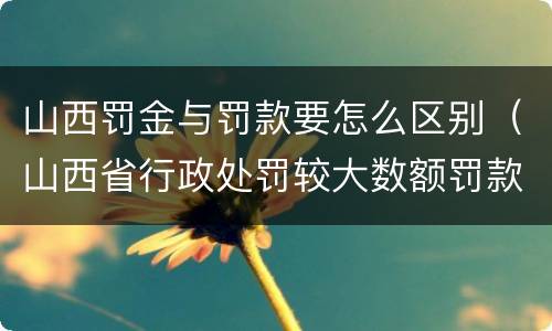 山西罚金与罚款要怎么区别（山西省行政处罚较大数额罚款）