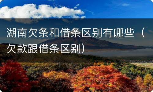湖南欠条和借条区别有哪些（欠款跟借条区别）