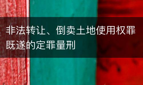 非法转让、倒卖土地使用权罪既遂的定罪量刑