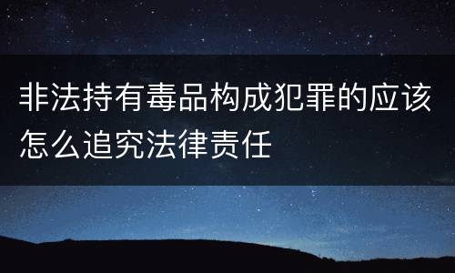 非法持有毒品构成犯罪的应该怎么追究法律责任