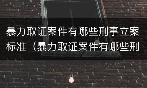 暴力取证案件有哪些刑事立案标准（暴力取证案件有哪些刑事立案标准规定）