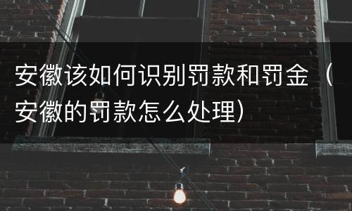 安徽该如何识别罚款和罚金（安徽的罚款怎么处理）