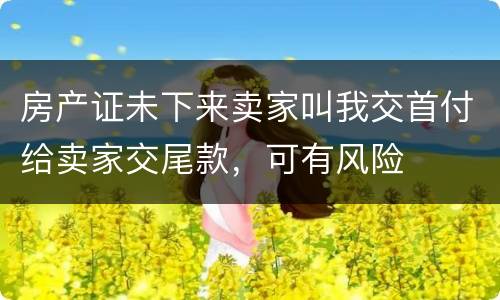 房产证未下来卖家叫我交首付给卖家交尾款，可有风险