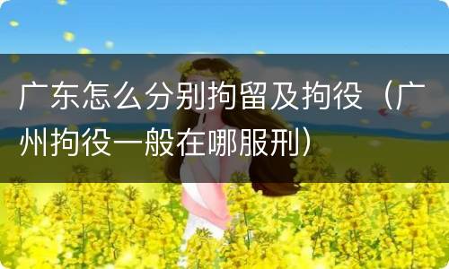 广东怎么分别拘留及拘役（广州拘役一般在哪服刑）