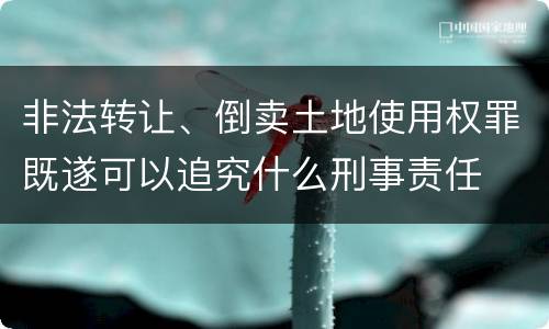 非法转让、倒卖土地使用权罪既遂可以追究什么刑事责任