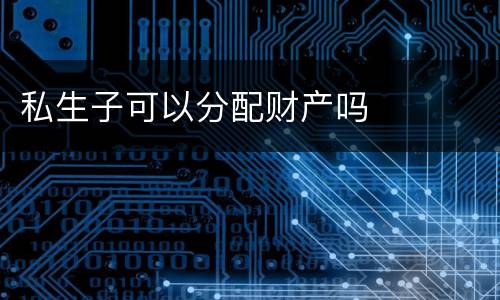 私生子可以分配财产吗