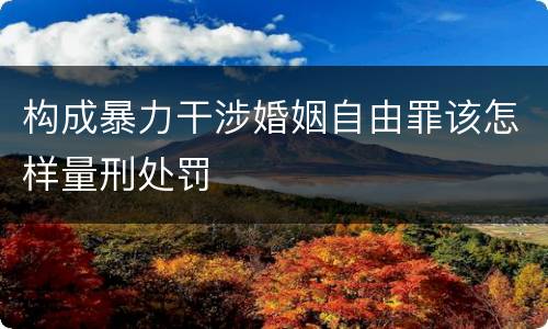 构成暴力干涉婚姻自由罪该怎样量刑处罚