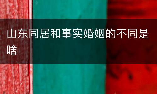 山东同居和事实婚姻的不同是啥