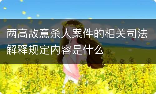 两高故意杀人案件的相关司法解释规定内容是什么