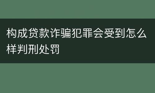 构成贷款诈骗犯罪会受到怎么样判刑处罚