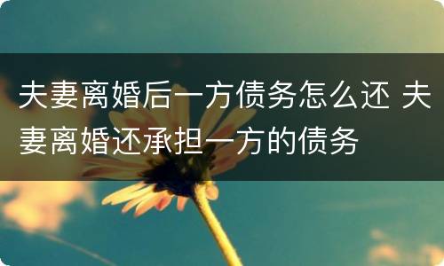 夫妻离婚后一方债务怎么还 夫妻离婚还承担一方的债务