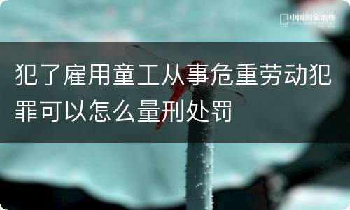 犯了雇用童工从事危重劳动犯罪可以怎么量刑处罚