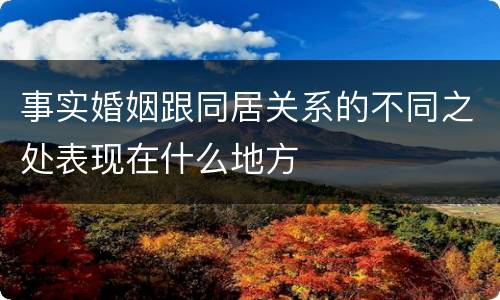 事实婚姻跟同居关系的不同之处表现在什么地方