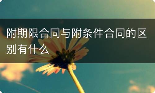 附期限合同与附条件合同的区别有什么