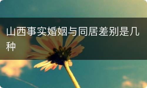 山西事实婚姻与同居差别是几种