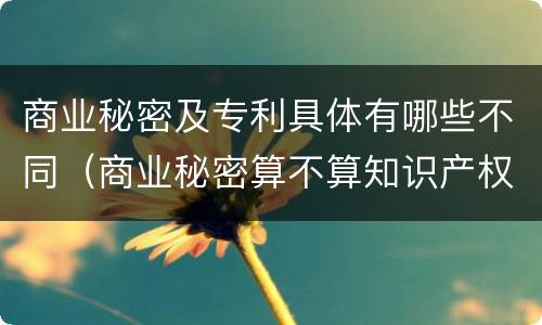 商业秘密及专利具体有哪些不同（商业秘密算不算知识产权）
