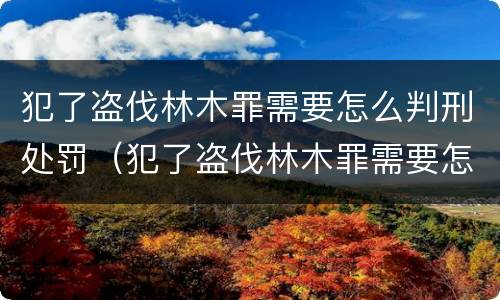 犯了盗伐林木罪需要怎么判刑处罚（犯了盗伐林木罪需要怎么判刑处罚呢）