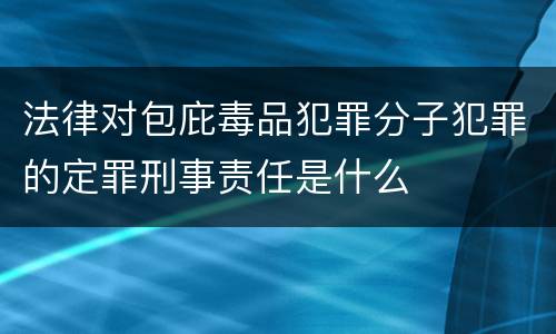 法律对包庇毒品犯罪分子犯罪的定罪刑事责任是什么
