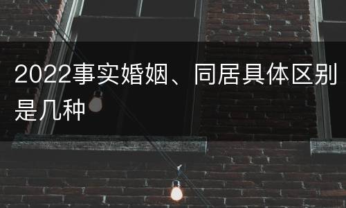 2022事实婚姻、同居具体区别是几种