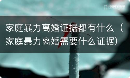 家庭暴力离婚证据都有什么（家庭暴力离婚需要什么证据）