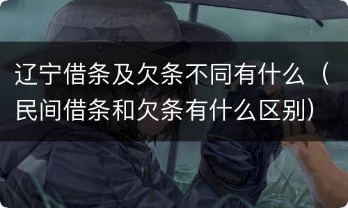 辽宁借条及欠条不同有什么（民间借条和欠条有什么区别）