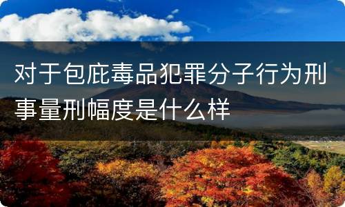 对于包庇毒品犯罪分子行为刑事量刑幅度是什么样