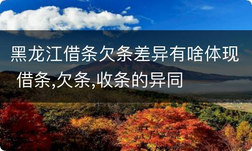 黑龙江借条欠条差异有啥体现 借条,欠条,收条的异同