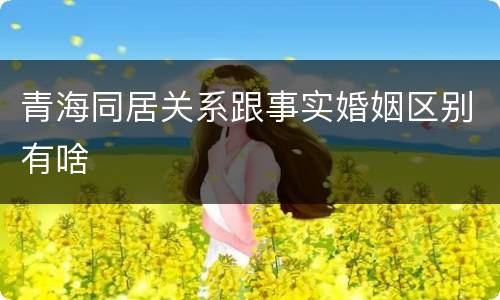 青海同居关系跟事实婚姻区别有啥