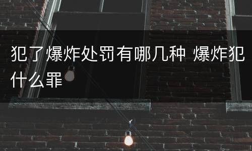 犯了爆炸处罚有哪几种 爆炸犯什么罪