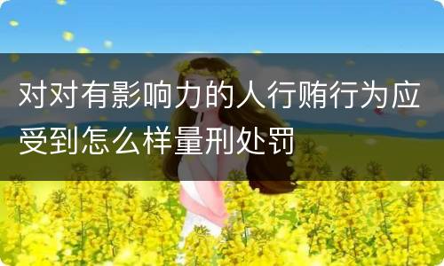 对对有影响力的人行贿行为应受到怎么样量刑处罚