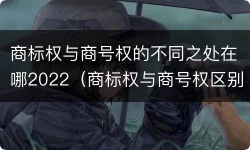 商标权与商号权的不同之处在哪2022（商标权与商号权区别）