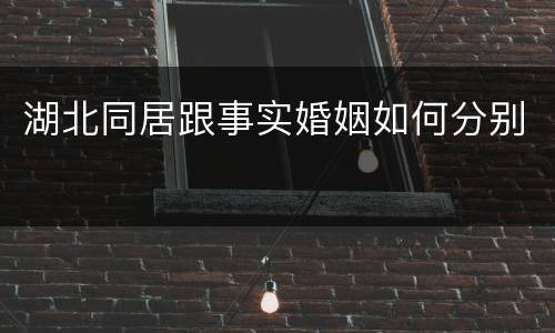 湖北同居跟事实婚姻如何分别