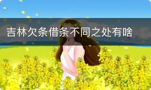 吉林欠条借条不同之处有啥