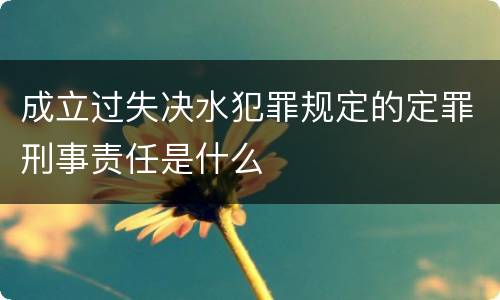 成立过失决水犯罪规定的定罪刑事责任是什么