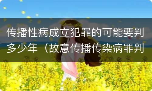 传播性病成立犯罪的可能要判多少年（故意传播传染病罪判几年）