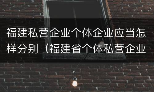 福建私营企业个体企业应当怎样分别（福建省个体私营企业协会）